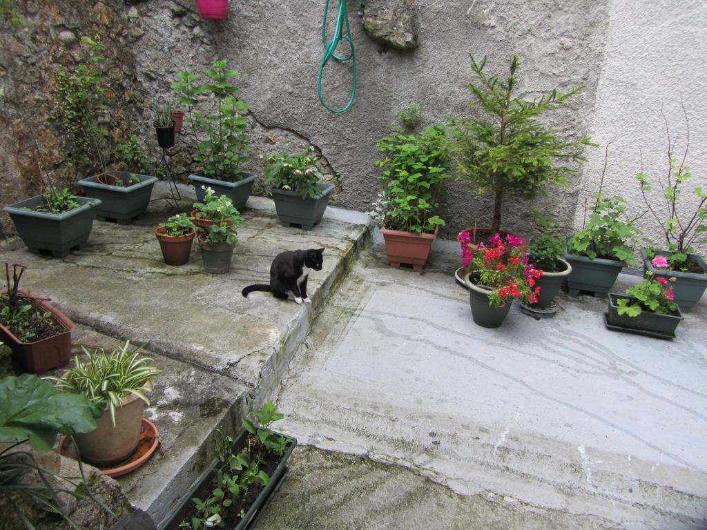 La Maison De Natasha Castillon-en-Couserans Esterno foto